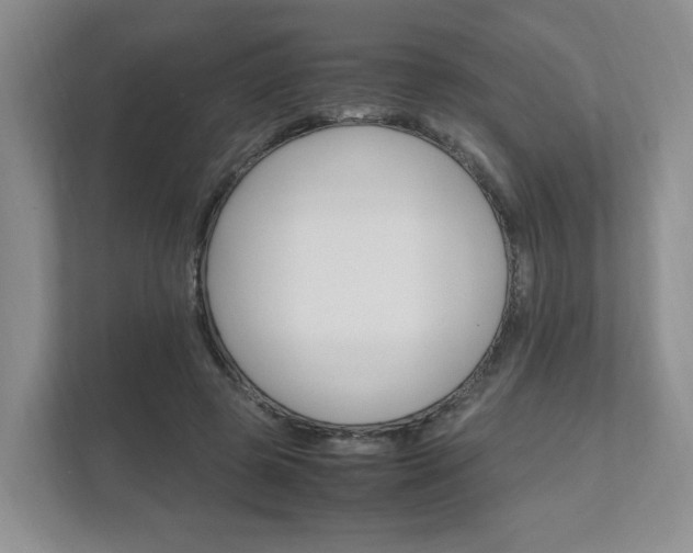 X0000111950545200907271036