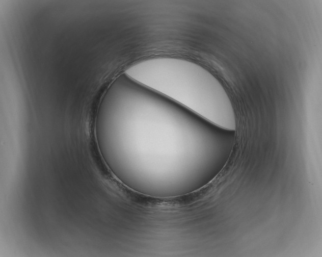 X0000111950546200907271036