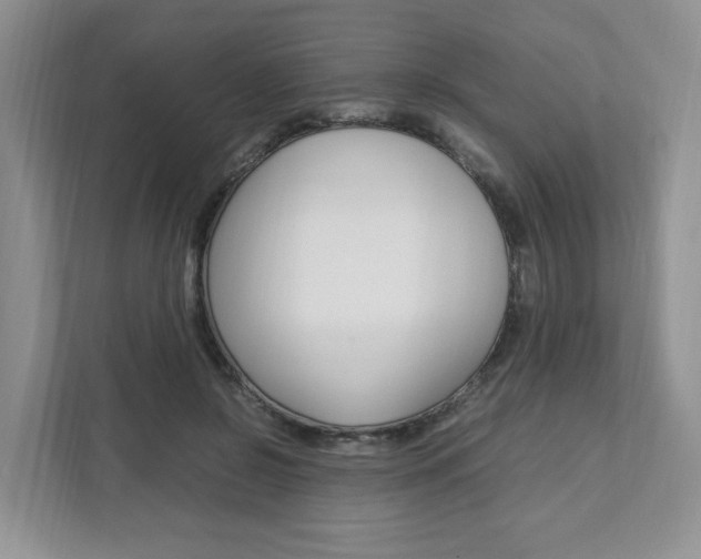 X0000111950550200907271036