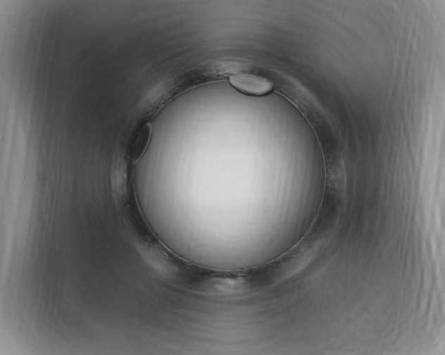X0000111950552200907271036