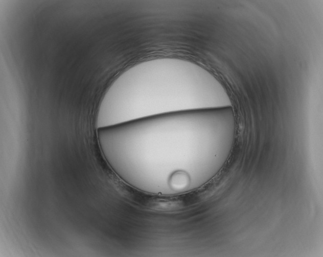 X0000111950555200907271037