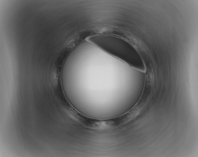 X0000111950558200907271037
