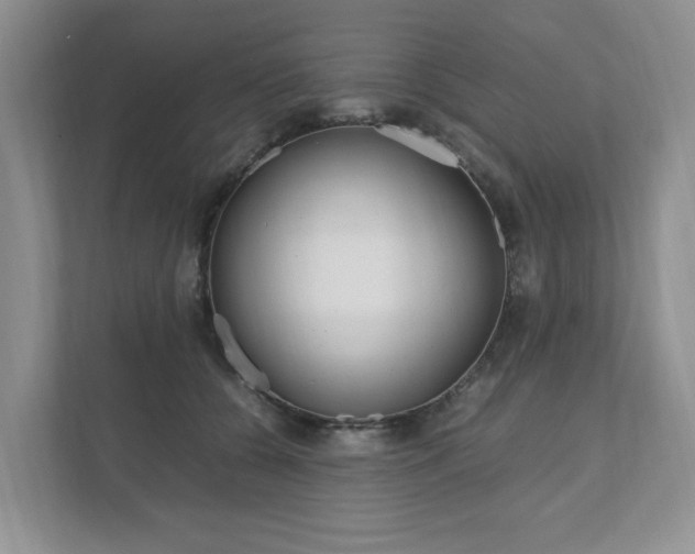 X0000111950560200907271037