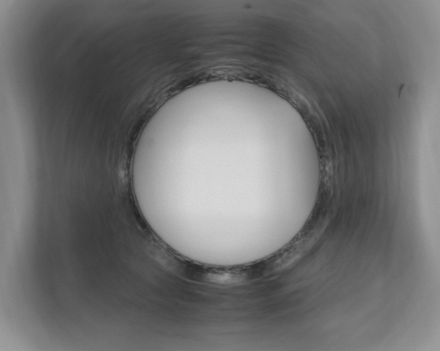 X0000111950561200907271037