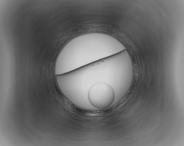 X0000111950563200907271037
