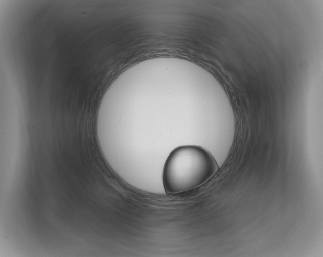 X0000111950564200907271037