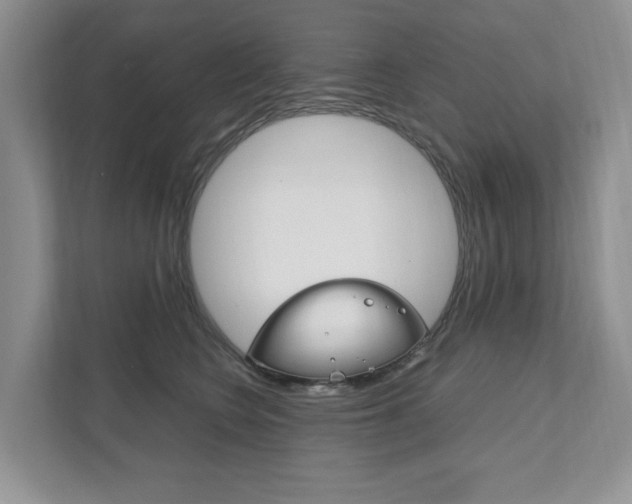 X0000111950566200907271037