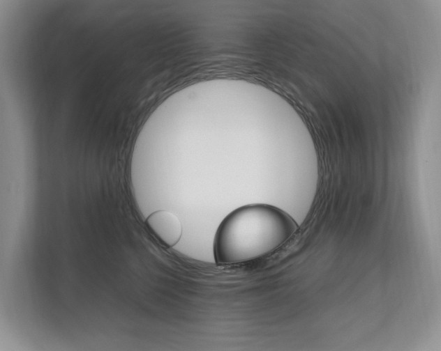 X0000111950568200907271037