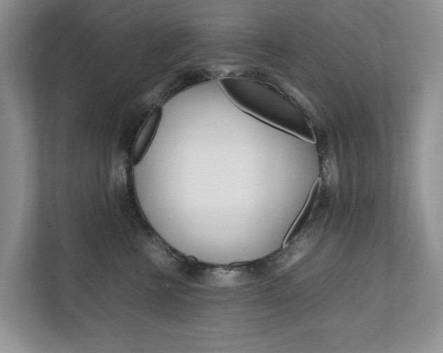 X0000111950570200907271037