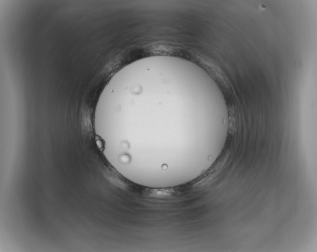 X0000111950573200907271037
