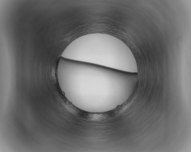 X0000111950575200907271037
