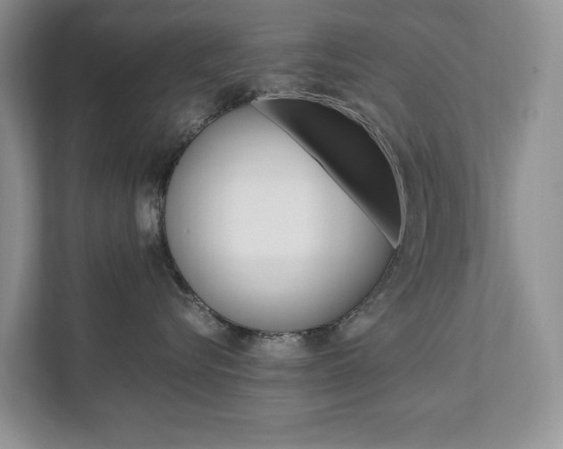 X0000111950576200907271037