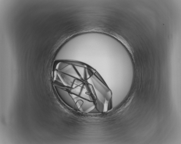 X0000111950577200907271036