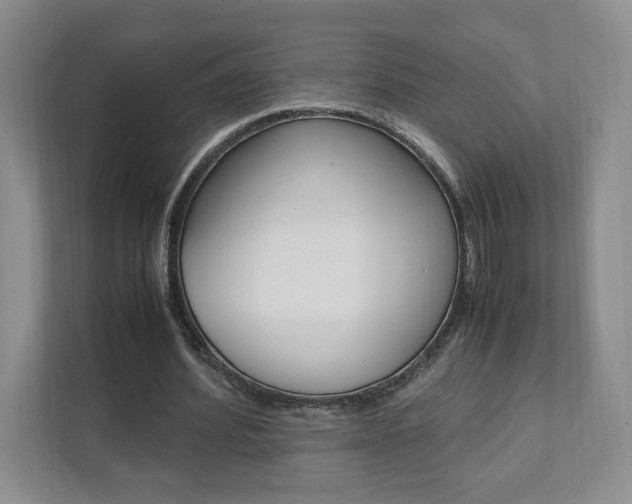 X0000111950580200907271036