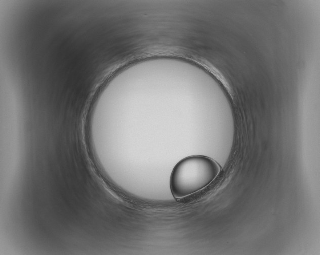X0000111950581200907271036