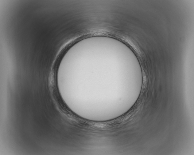 X0000111950583200907271036