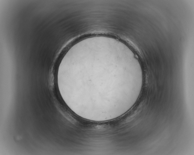 X0000111950584200907271036