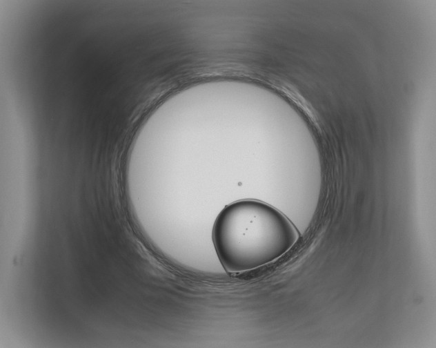 X0000111950585200907271036
