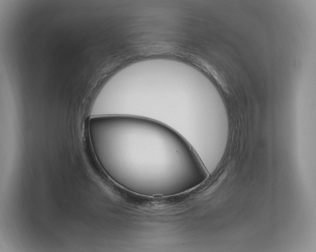 X0000111950589200907271036