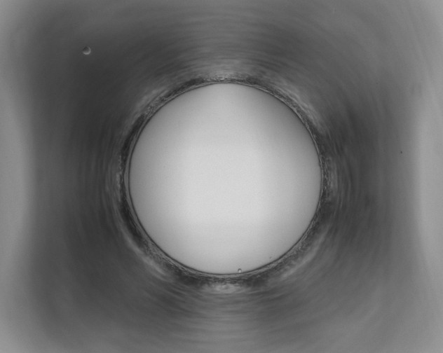 X0000111950590200907271036