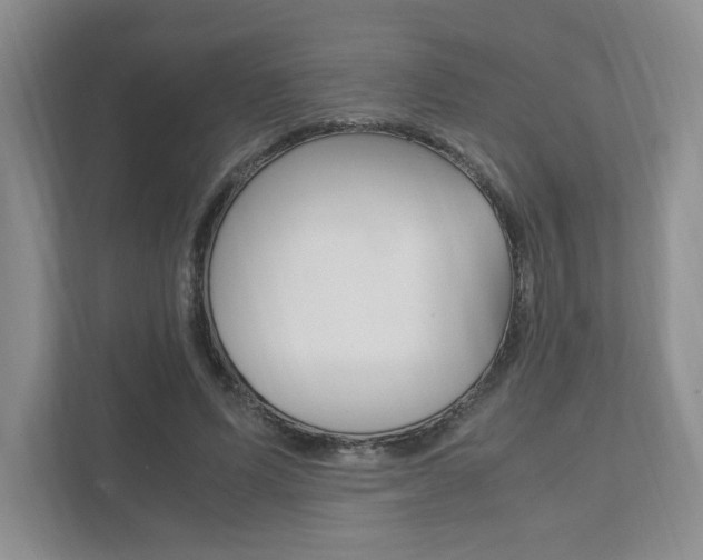 X0000111950591200907271036