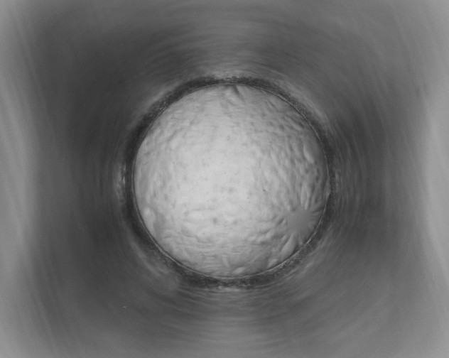 X0000111950592200907271036