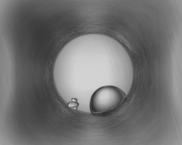 X0000111950593200907271036