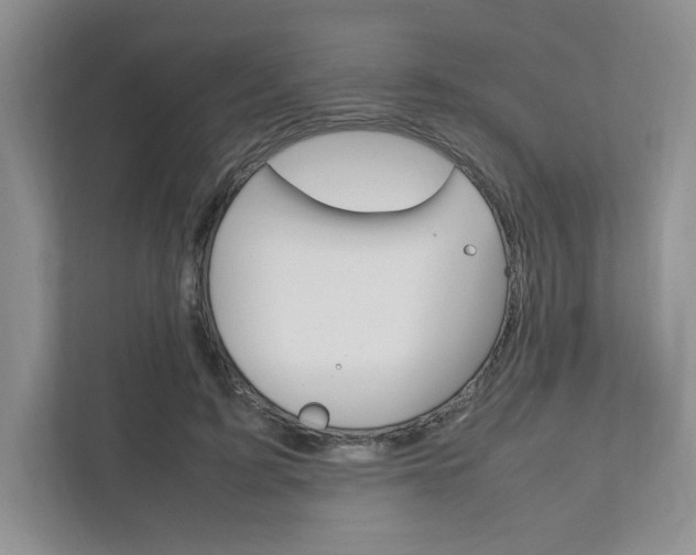 X0000111950595200907271036