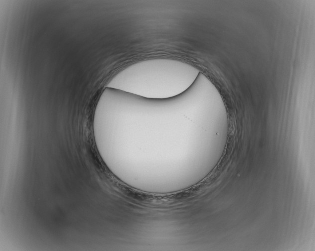 X0000111950599200907271036