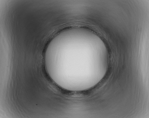 X0000111950601200907271036