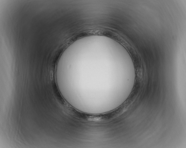 X0000111950602200907271036