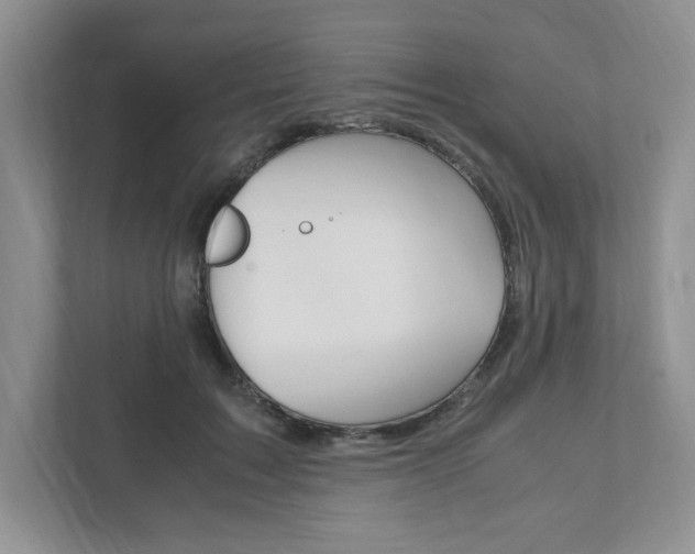 X0000111950603200907271036