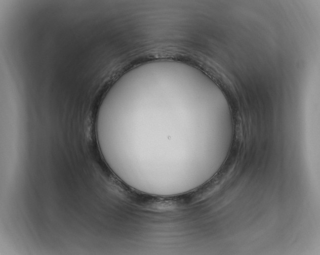 X0000111950604200907271036