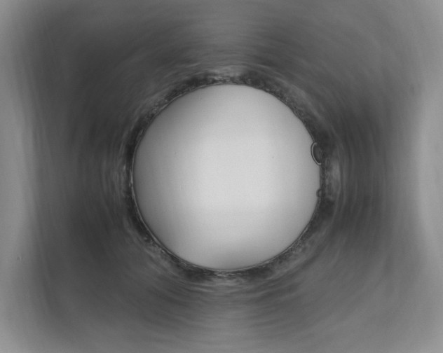 X0000111950608200907271036