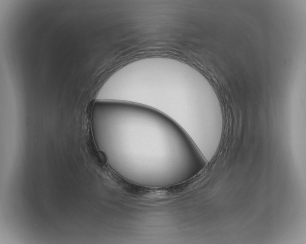 X0000111950609200907271036