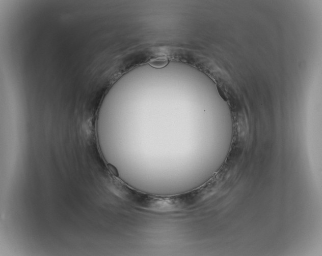 X0000111950611200907271036