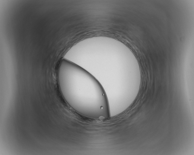 X0000111950613200907271036