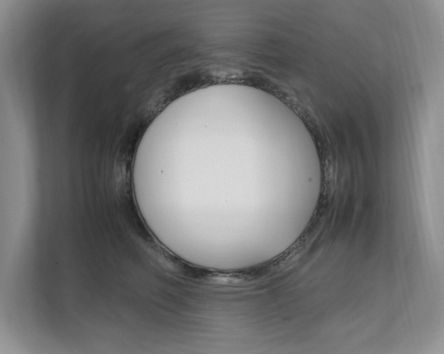 X0000111950614200907271036