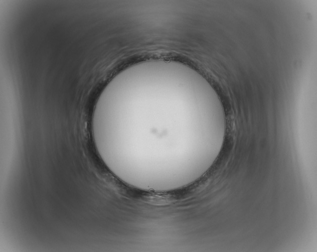 X0000111950615200907271036