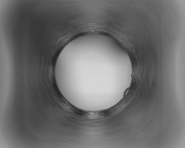X0000111950623200907271036