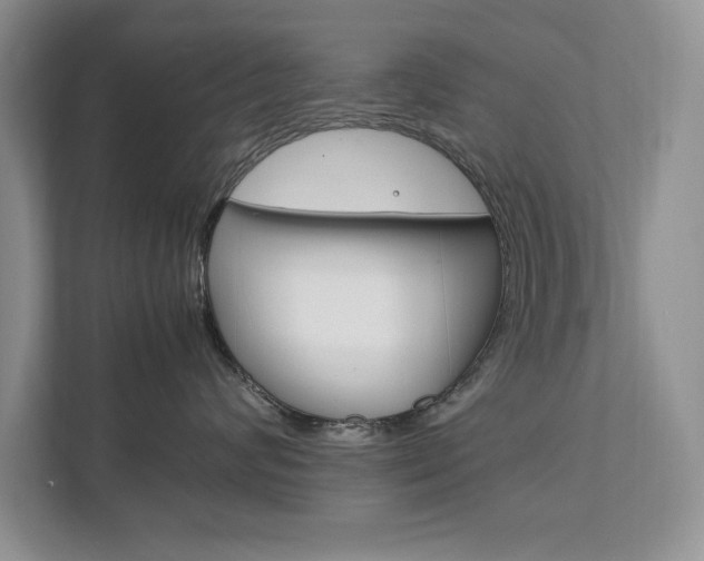 X0000111950624200907271036