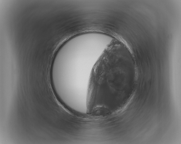 X0000111950625200907271035