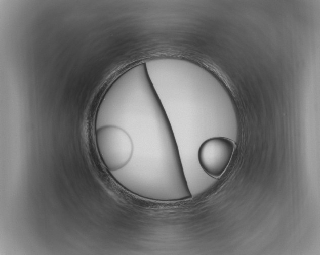 X0000111950626200907271035