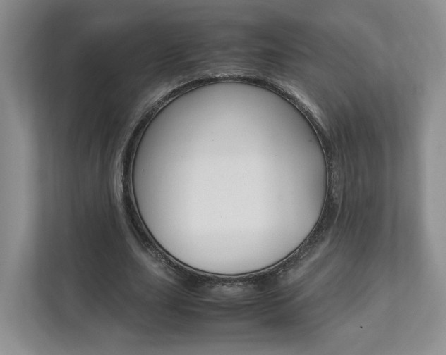 X0000111950631200907271035