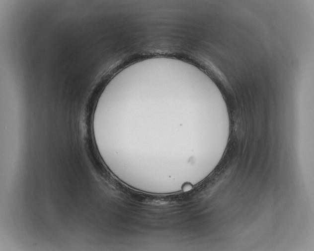 X0000111950635200907271035