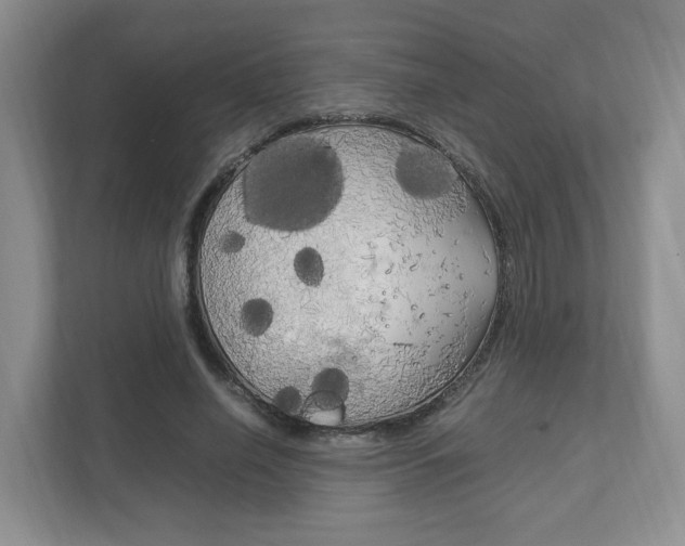 X0000111950638200907271035