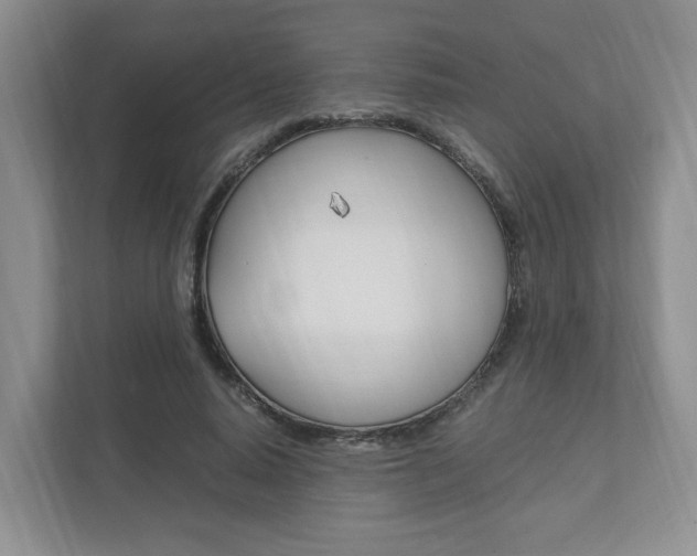 X0000111950640200907271035