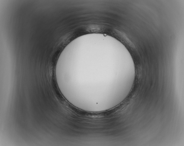 X0000111950645200907271035