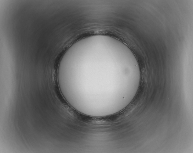 X0000111950650200907271035
