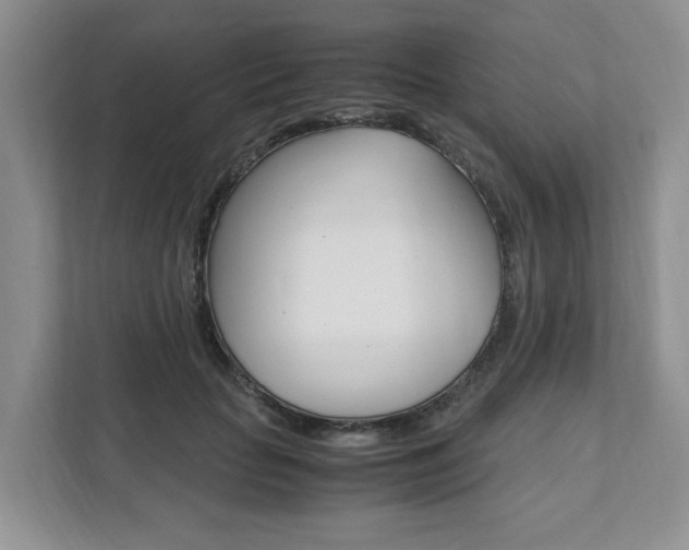 X0000111950653200907271035